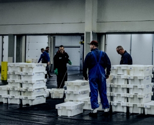 v-fillin-robota-e-dlya-vsikh